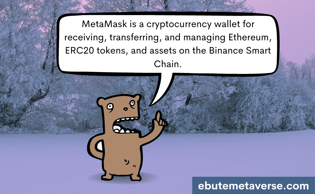answer to what is a metamask wallet