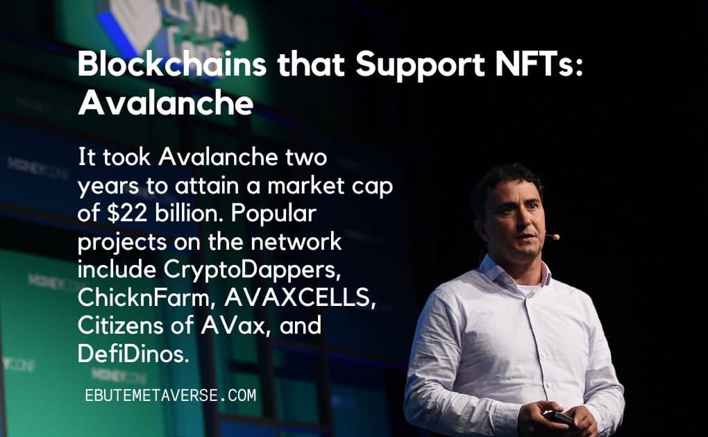 photo of avax co founder with sentences about blockchains that support nfts