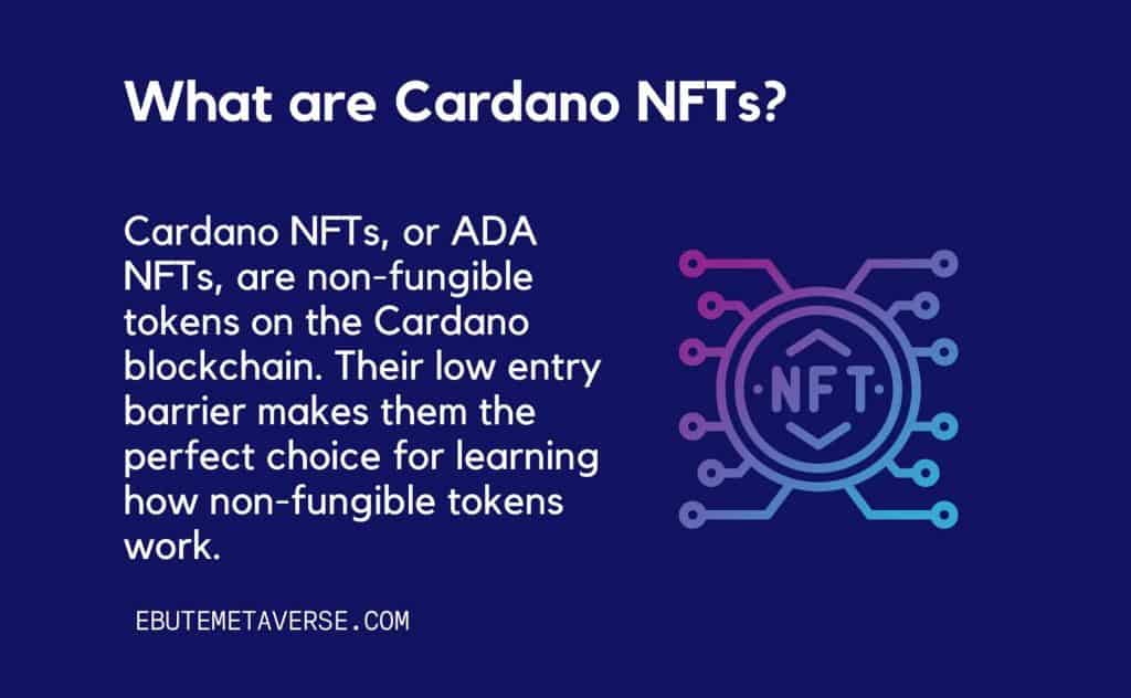 text about the meaning of cardano nfts