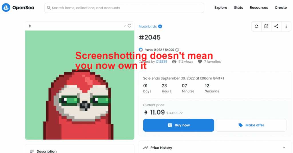 a screenshot from the moonbirds collection on Opensea