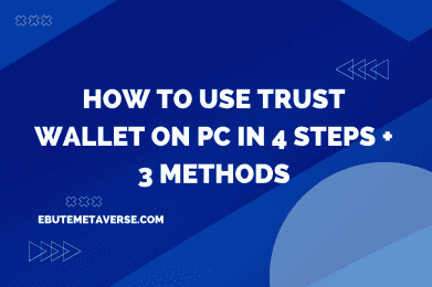 How To Use Trust Wallet On PC In 4 Steps + 3 Methods